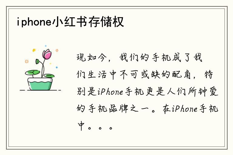 iphone小红书存储权限